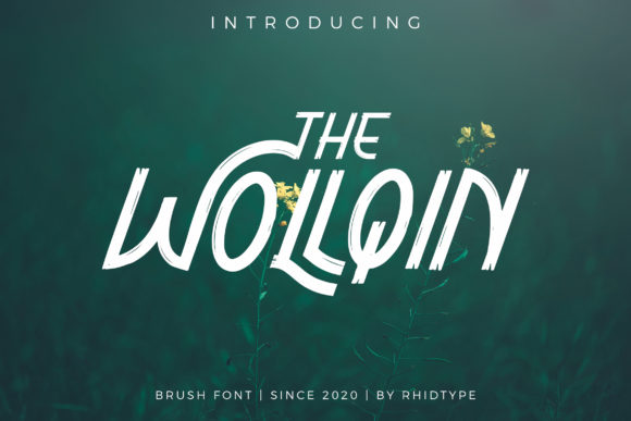 The Wollqin: A Display Font for Creative Expression