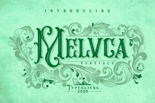 Upgrade Your Brand with Melvca